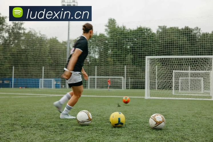 九游网页版登录入口 - 九游(中国)平台生态图